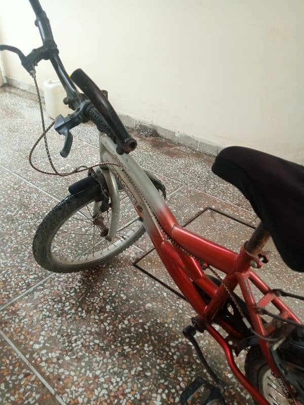 19 inch bicycle 3