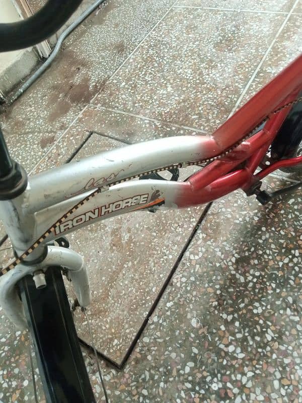 19 inch bicycle 4