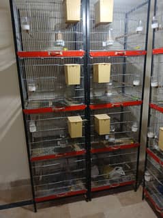 Birds cages