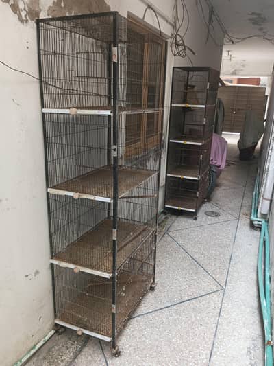 Cage 2.5' x 1.5' x 1.5' for sale.