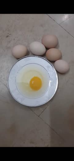 desi eggs
