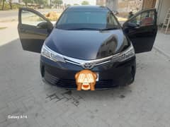 corolla