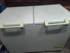 Haier