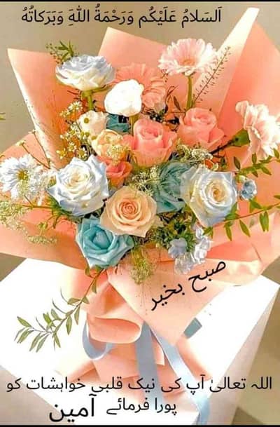 Malik Shoaib