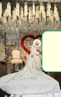 wedding/bridals/