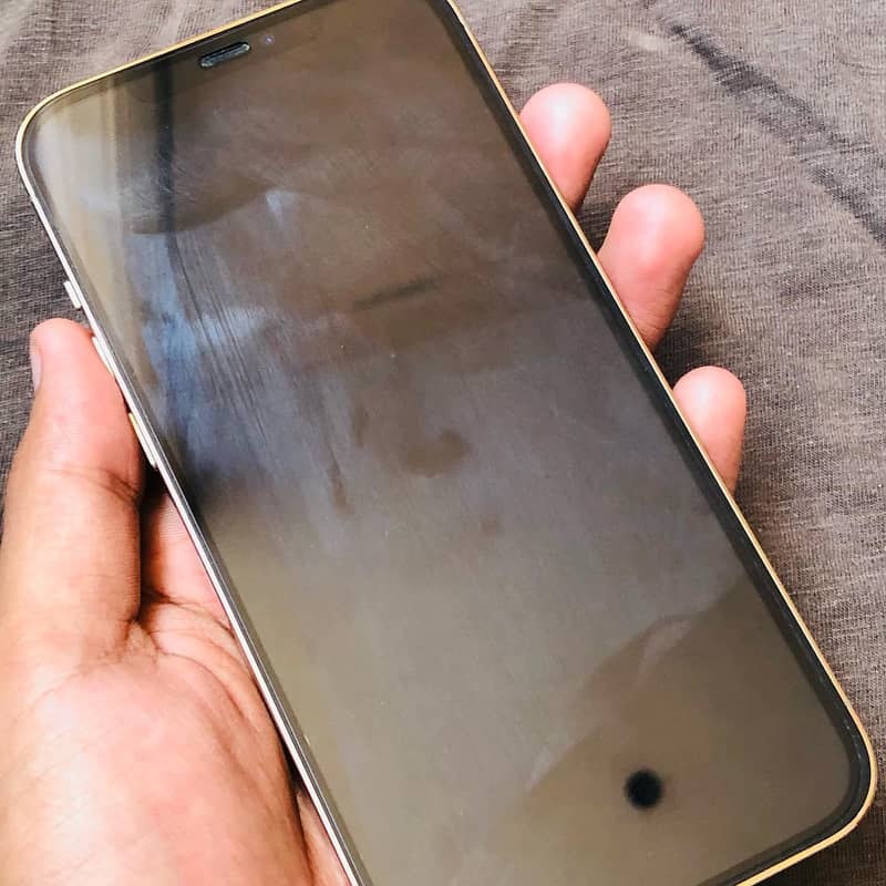 iPhone 12 Pro Max 1