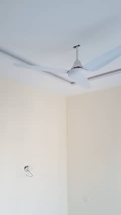8 Marla Commercial Ground Plus Mezanine For Rent