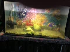 Aquarium