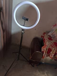 TikTok stand 3 light wala hai