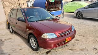 Caltus original Original condition me hai