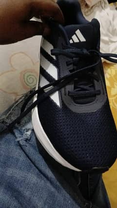 New