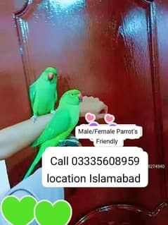 Single