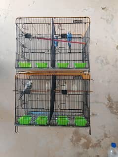 BUGIES , FISHER , EXHIBITIONS
