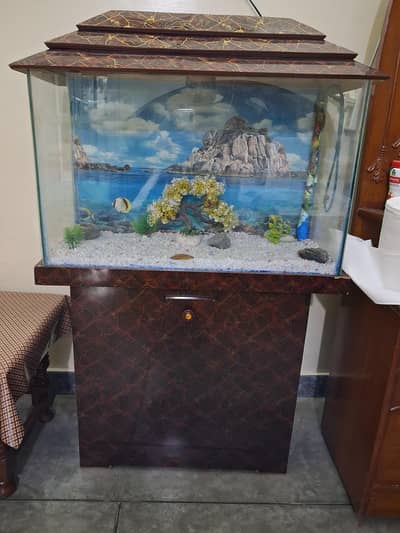 Fish Aquarium