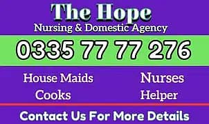 Baby Sitter , Cook , Helper , Driver , Nanny Couple , House Maids