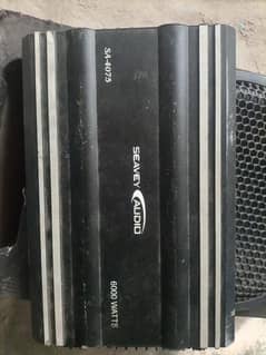 Woofer & Amplifier