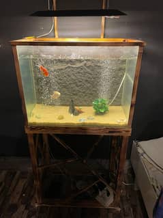 Aquarium solid wood hand made