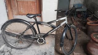 Phoenix Bicycle