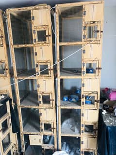 3 Wooden cages available in reasonable prices
