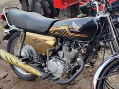 Lush 125SE Gold