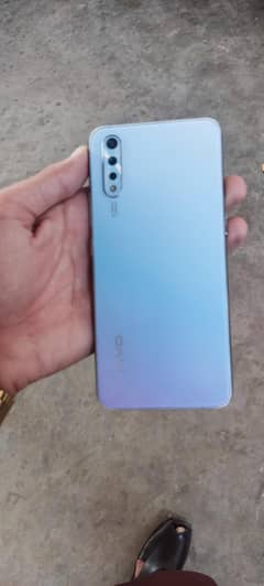 vivo