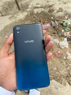 vivo