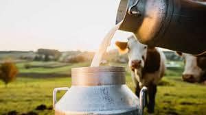 Fresh Milk VIP Quality