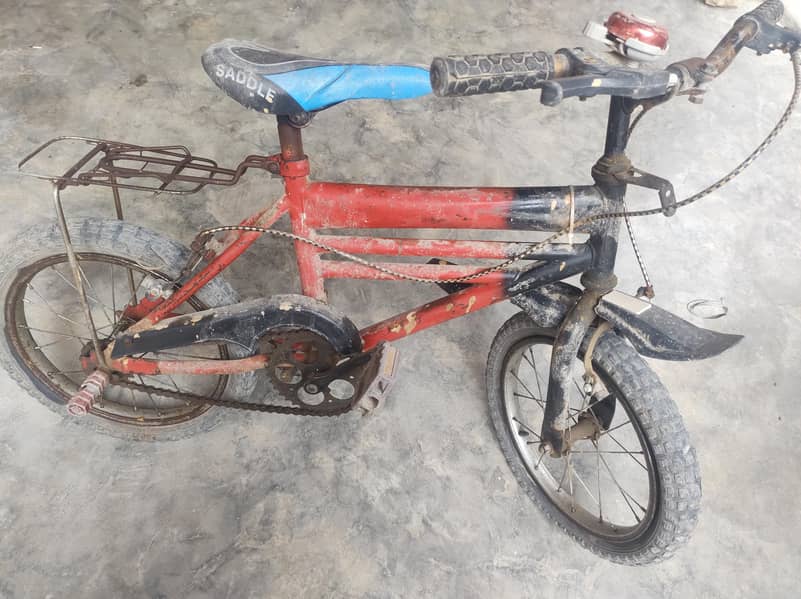 CHOTI or  Badi Cycle 1
