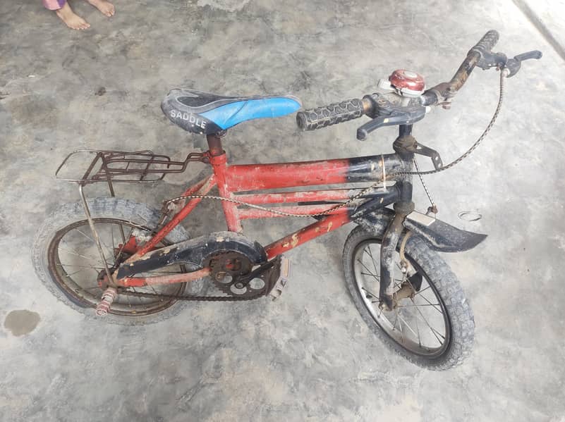 CHOTI or  Badi Cycle 2