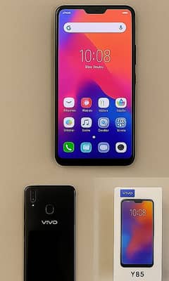 Vivo