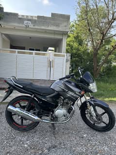 YAMAHA YBR 125