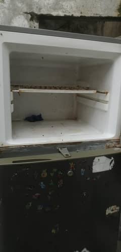 fridge