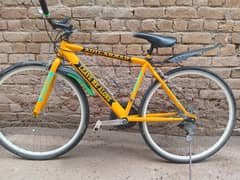 sports cycle