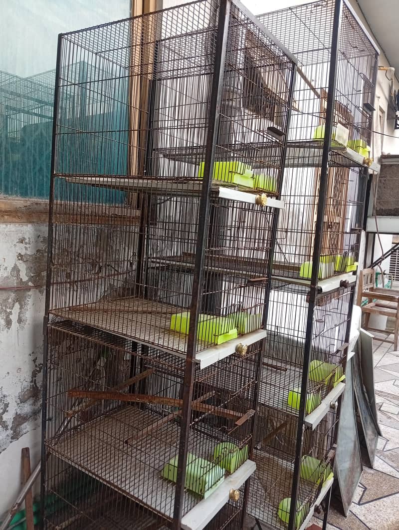 2 Cages 4 portions in New Condition 0