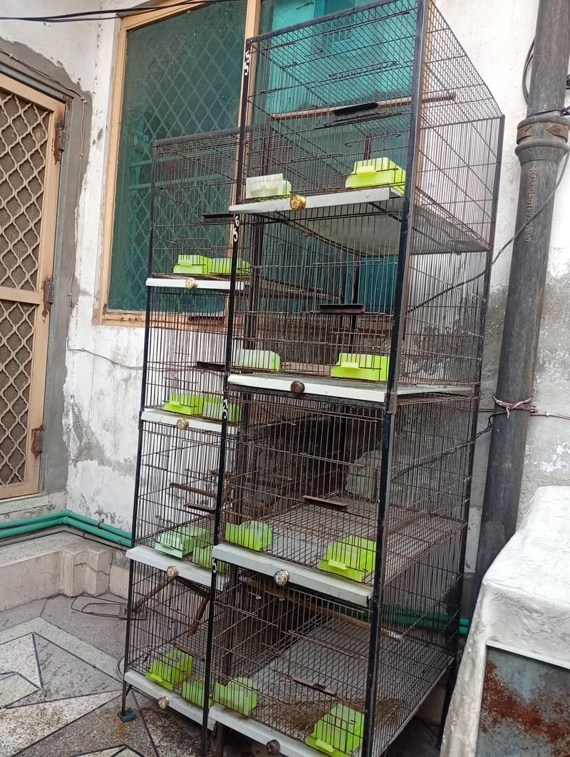 2 Cages 4 portions in New Condition 1