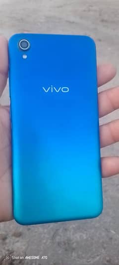 Vivo
