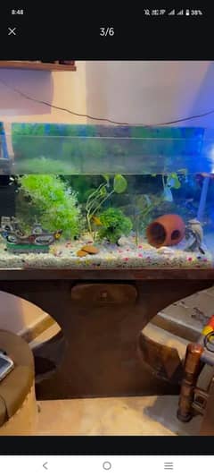 fish aquarium for sale with all accessories