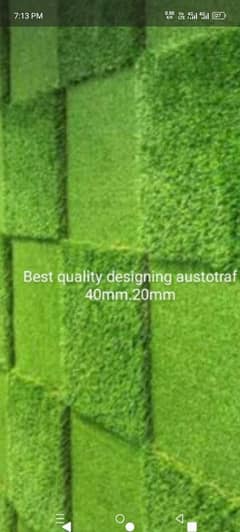 austotraf grass