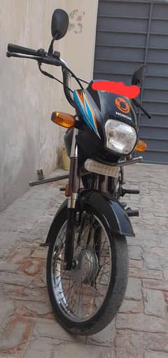 CD
