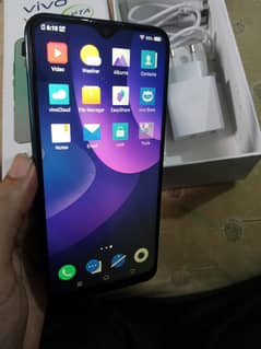 Vivo