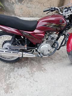 YAMAHA YBZ 125