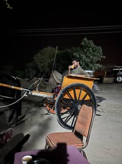 Ghori