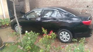 Corolla