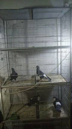 8 portion cage for birds