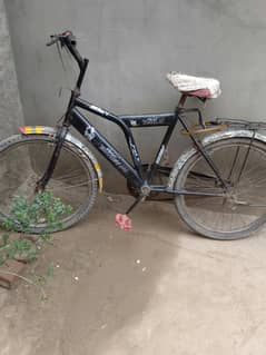 Cycle