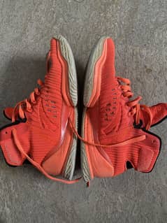 Anta