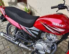 Yamaha ybz for sale