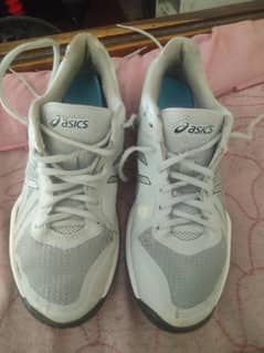 asics shoes