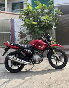 Yamaha YBR 125 G / 03037222726