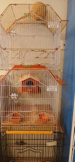 Cage | Birds cage | Hens Cage | Pinjra | Iron Cage | پرندوں کا پنجرا